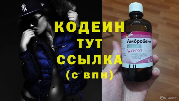 эйфоретик Осташков