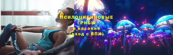 ALPHA-PVP Осинники