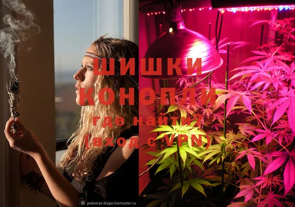 гашик Остров