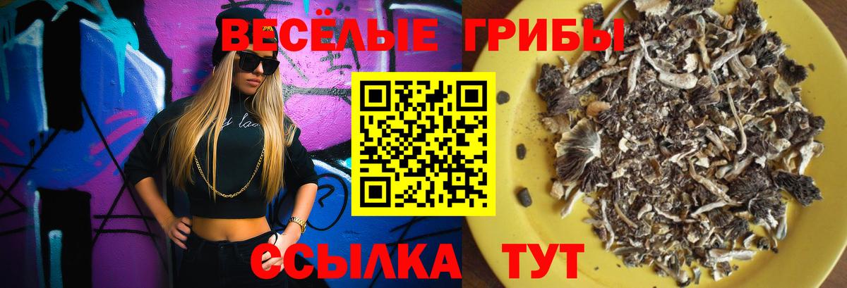 Псилоцибиновые грибы мухоморы  Вход с VPN  Галлюциногенные грибы Psilocybe  Корсаков 